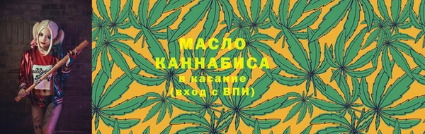 МДПВ Снежинск