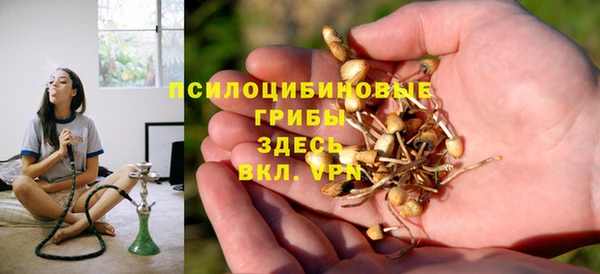 метадон Армянск